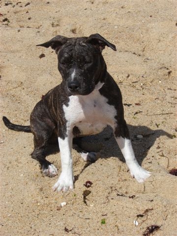 A little beauty dite lola de Lady Siska