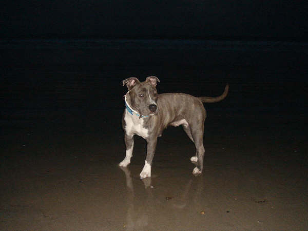 Aika de Lady Siska